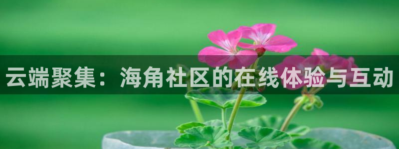 海角社区hj2c：云端聚集：海角社区的在线体验与互动