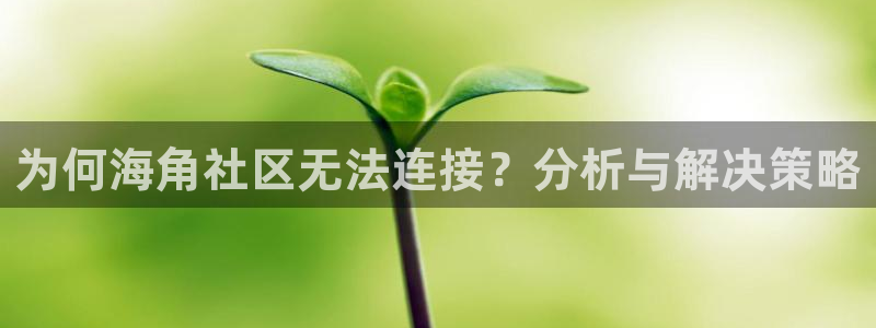 购买海角社区：为何海角社区无法连接？分析与解决策略