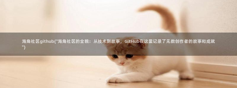 怎么看待海角社区的人：海角社区github(\