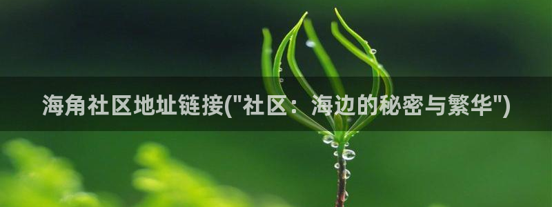 海角社区 老家的味道：海角社区地址链接(\