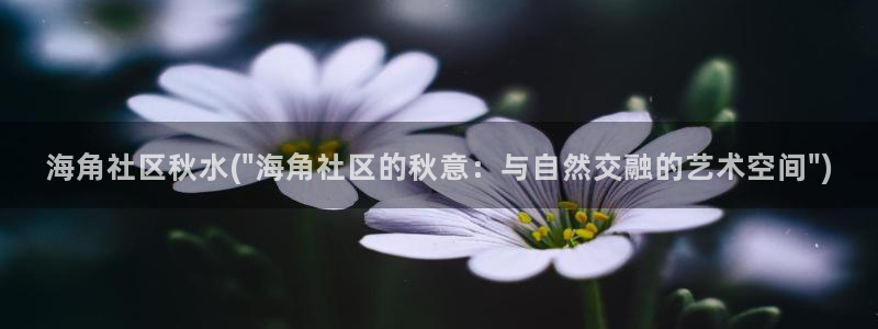 小灵灵海角社区视频：海角社区秋水(\