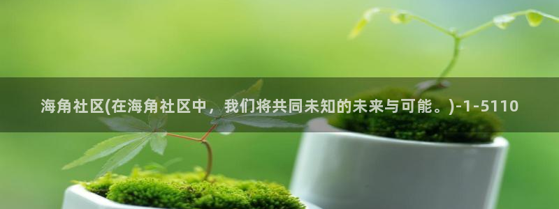 抖音评论海角社区是啥：海角社区(在海角社区中，我们将共同未知的未来与可能。)