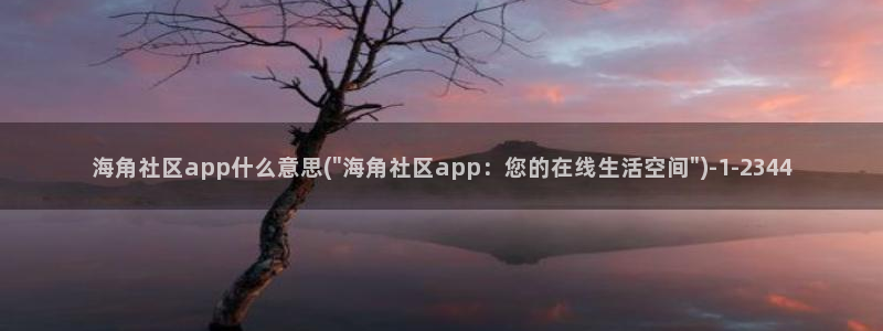 海角社区006：海角社区app什么意思(\
